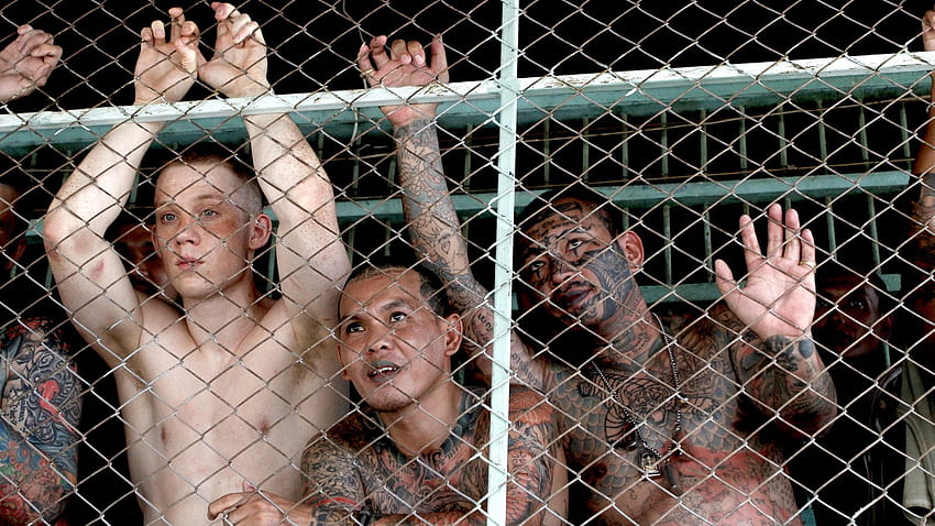 Review: 'A Prayer Before Dawn' Drops a British Boxer Into a Thai Prison HD wallpaper