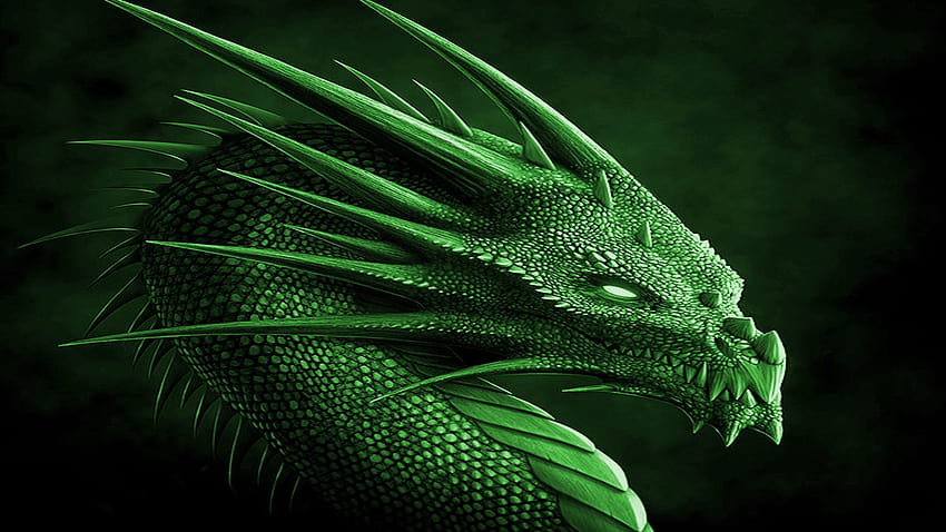 Green Abstract Dragon on Dog HD wallpaper