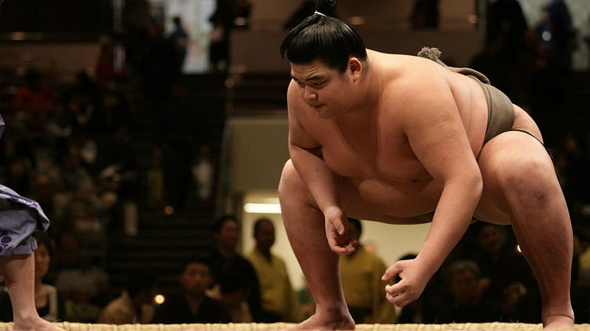 The Content Analytics Tool To Rule Them All?, sumo wrestlers HD wallpaper
