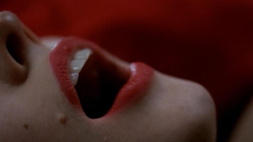 Tabletka Deborah Ann Woll True Blood otwiera usta najlepiej Tapeta HD