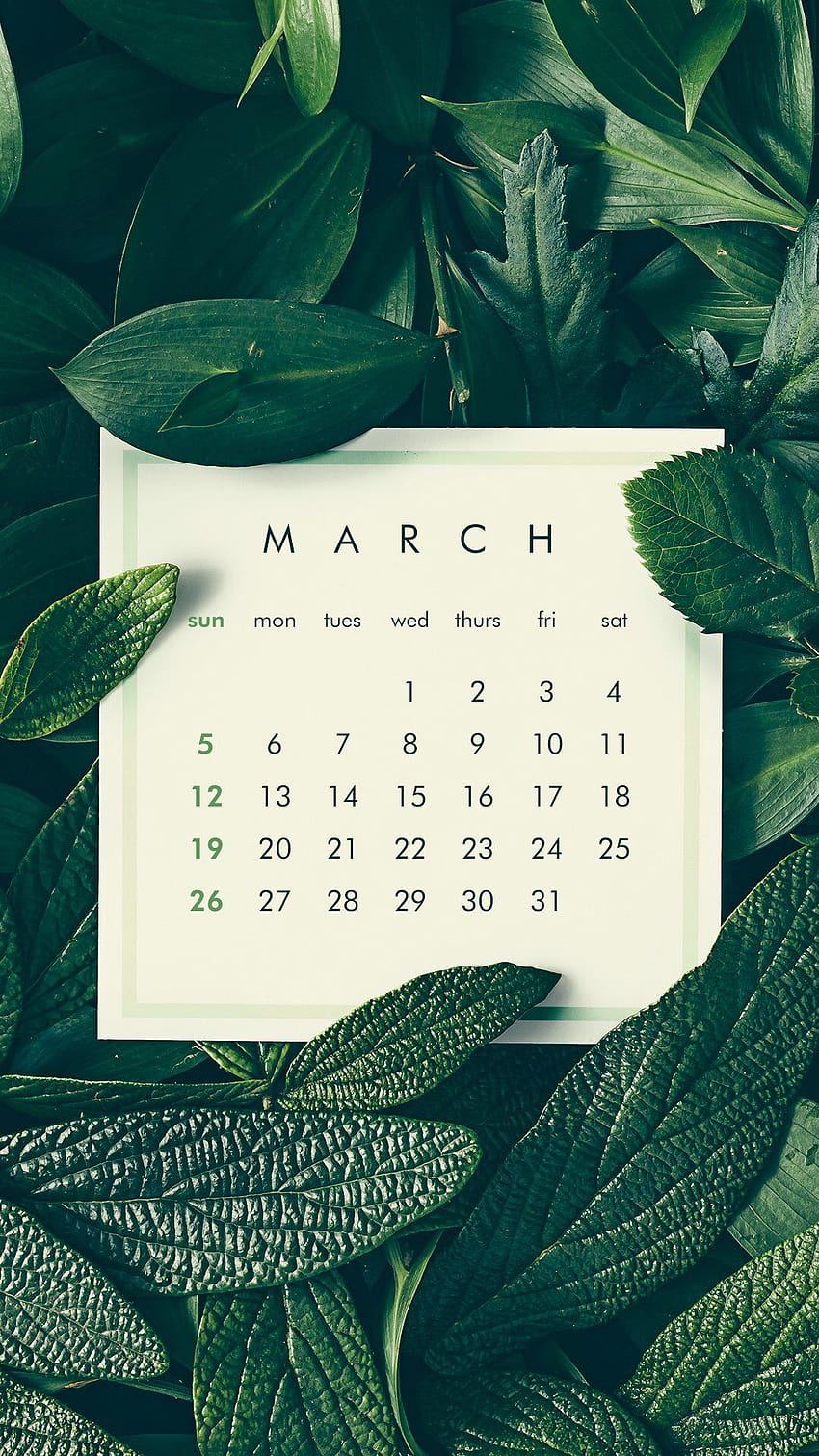 2023 March Calendar Wallpaper  TubeWP