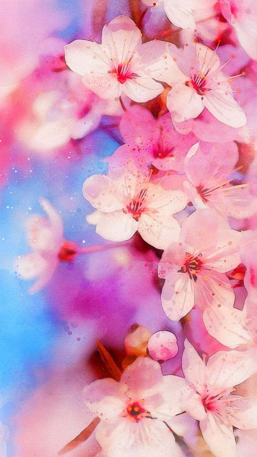 Flower Plant Peach Blossom HD phone wallpaper