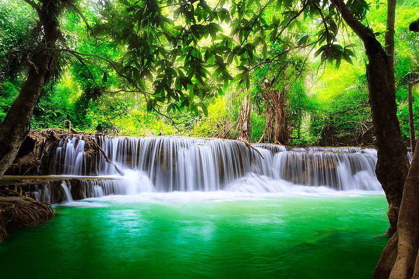 Waterfall lakes nature trees jungle water spring landscapes earth, spring waterfall HD wallpaper