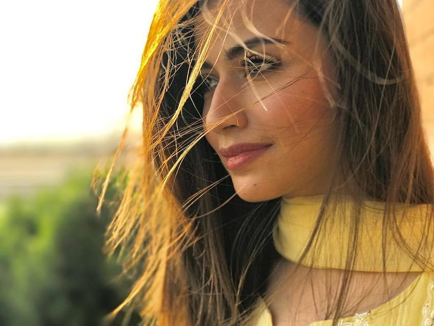 10 Yetenekli Pakistanlı Aktris, sana javed HD duvar kağıdı