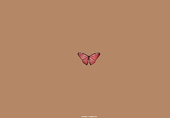 Thích màu nâu và loài bướm? Đừng bỏ lỡ cơ hội tải hình nền HD với chiếc bướm và tông màu nâu tại Pxfuel. Với chất lượng hình ảnh tuyệt vời, bạn sẽ được truyền cảm hứng và tận hưởng vẻ đẹp của loài bướm tươi đẹp. 