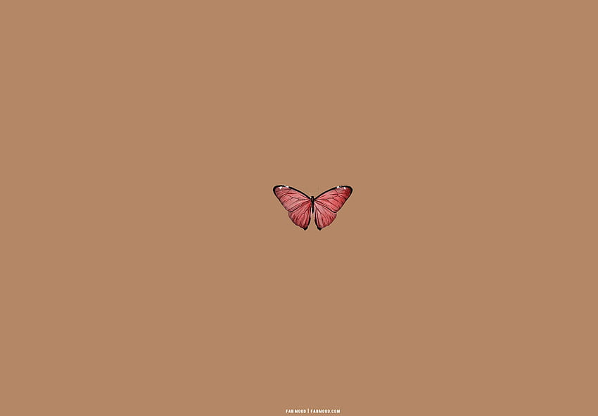 25 Brown Aesthetic para Laptop: Red Butterfly Brown Aesthetic 1, rosa e marrom papel de parede HD