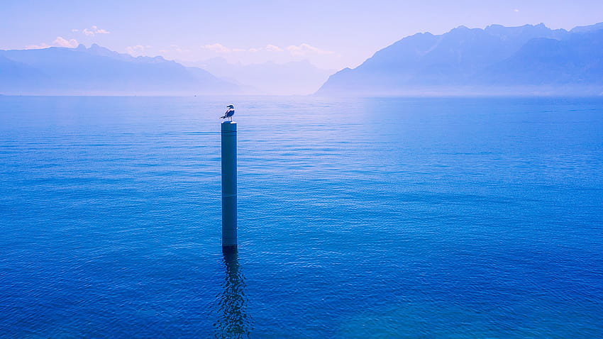 Lac Léman or Lake Geneva, Lutry, Switzerland, leman lake HD wallpaper