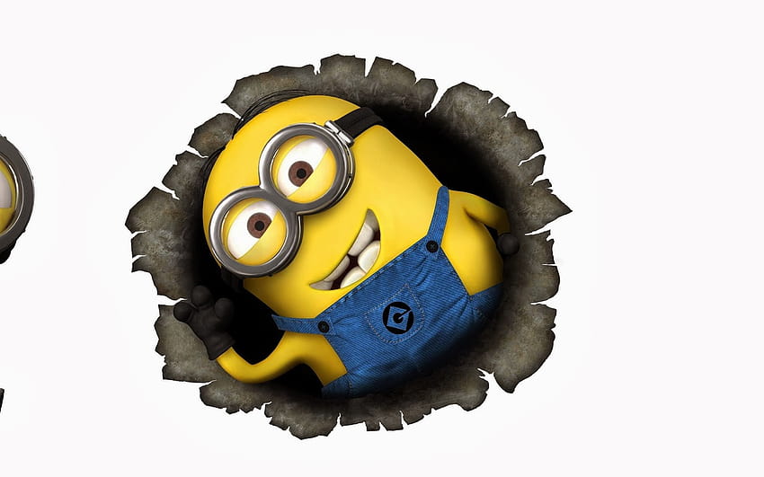 Minion Beautiful 2014 [1600x1000] for your , Mobile & Tablet HD ...