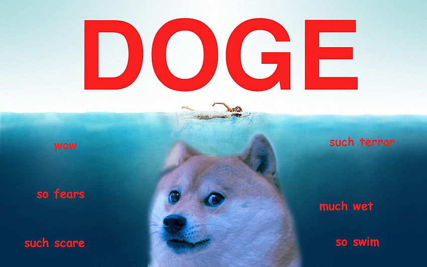 Doge Shiba doge Live Android, memy ze szczeniakami Tapeta HD