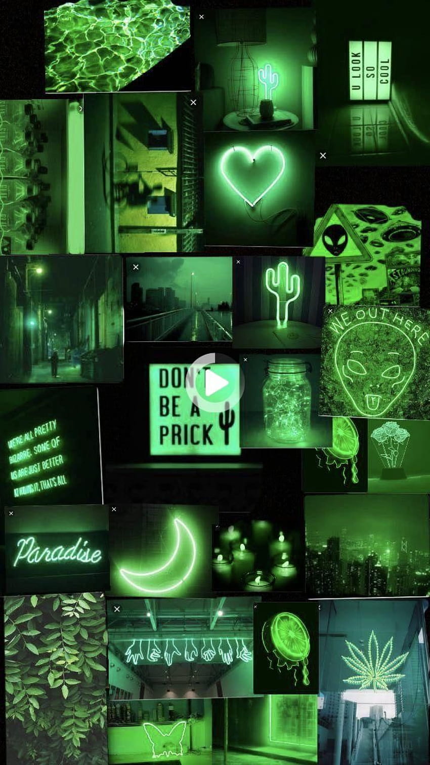VAMP BODY ART on Instagram: “Pinea abies, green theme HD phone wallpaper