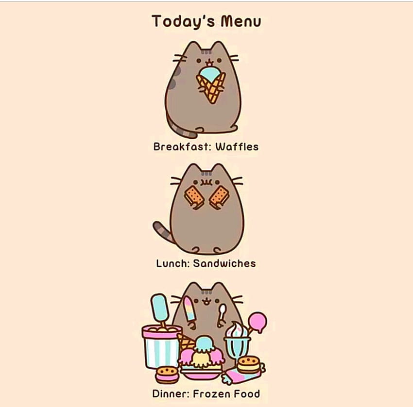 Cute Pusheen Tumblr of breakfast lunch and dinner, sad pusheen HD wallpaper