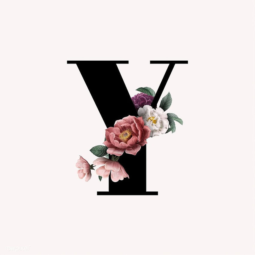 Classic and elegant floral alphabet font letter Y vector, y letter HD phone wallpaper