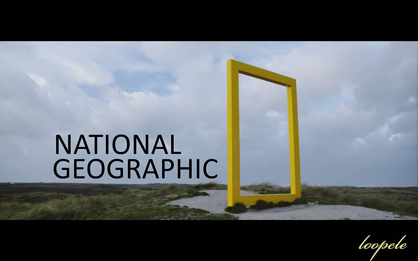 File Name National Geographic Logo [1920x1200] for your , Mobile & Tablet HD wallpaper
