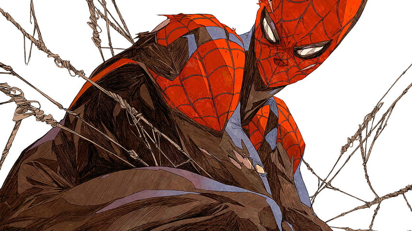 Spider Man, Artwork, Digital, Hero, Peter Parker • For You For & Mobile, cartoon peter parker HD wallpaper