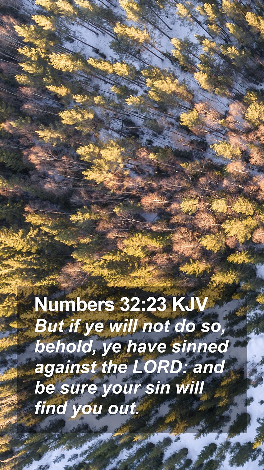 Numbers 32:23 KJV Mobile Phone HD phone wallpaper