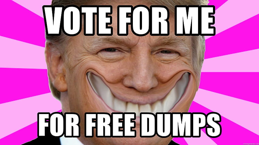 vote em mim para lixeiras, donald trump meme papel de parede HD