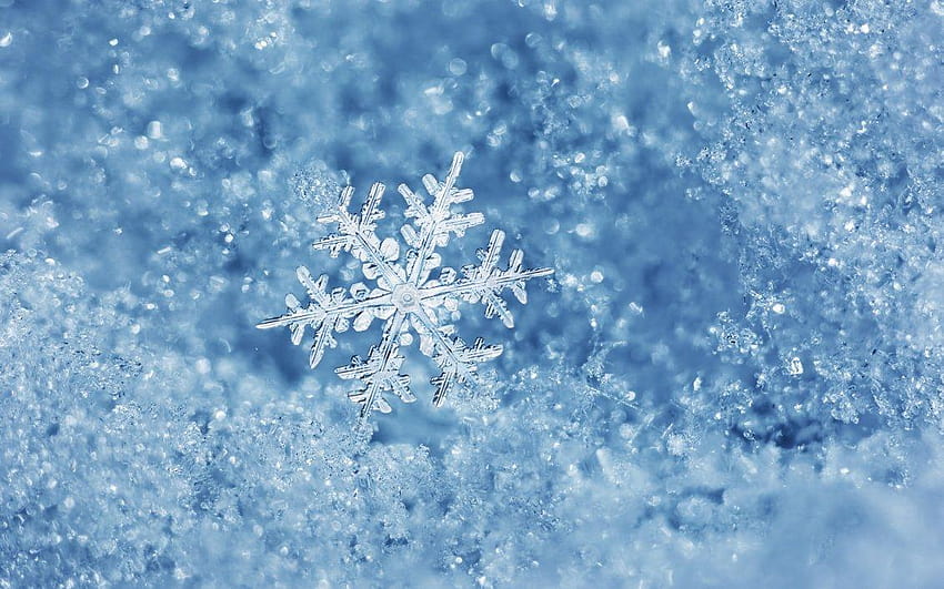 เกล็ดหิมะเย็นและน้ำแข็งที่สมบูรณ์แบบ เกล็ดหิมะอย่างใกล้ชิด วอลล์เปเปอร์ HD