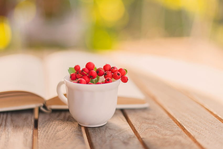 1366x768 cup, red, table, book, autumn, rowan, berries 4364, autumn cup HD wallpaper