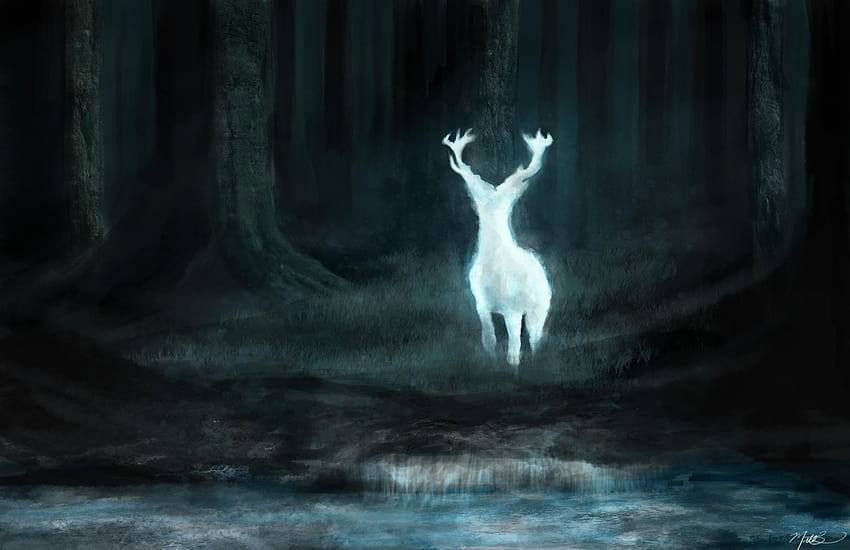 Harry Potter Patronus Hd Wallpaper Pxfuel