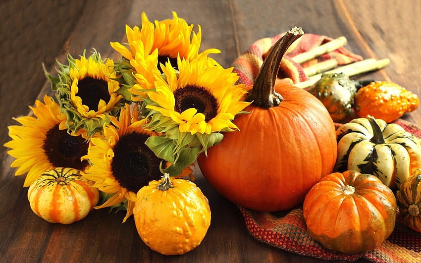 Pumpkin and Fall Flower, pumpkins and basket HD wallpaper