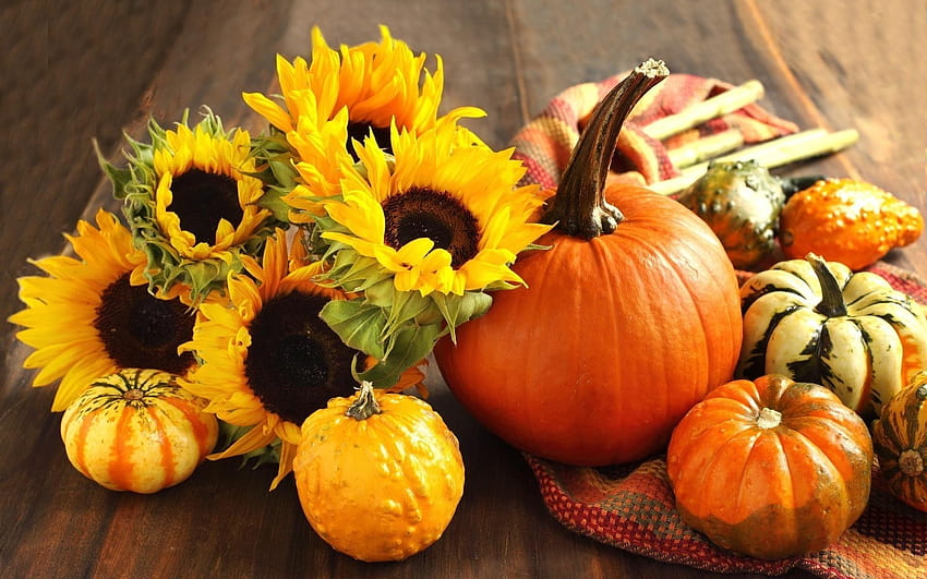 Kürbis und Herbstblume, Kürbisse und Korb HD-Hintergrundbild