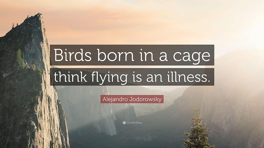 Alejandro Jodorowsky Quote: “Birds born in a cage think flying is an HD wallpaper