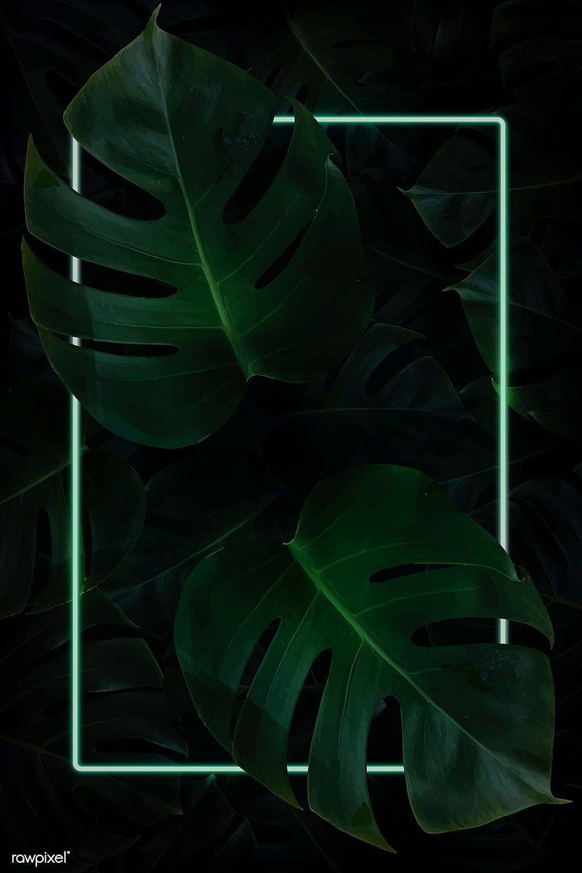 Premium-Vektor des grünen Neonrahmens des Rechtecks ​​auf tropischem, tropischem Blatttelefon HD-Handy-Hintergrundbild