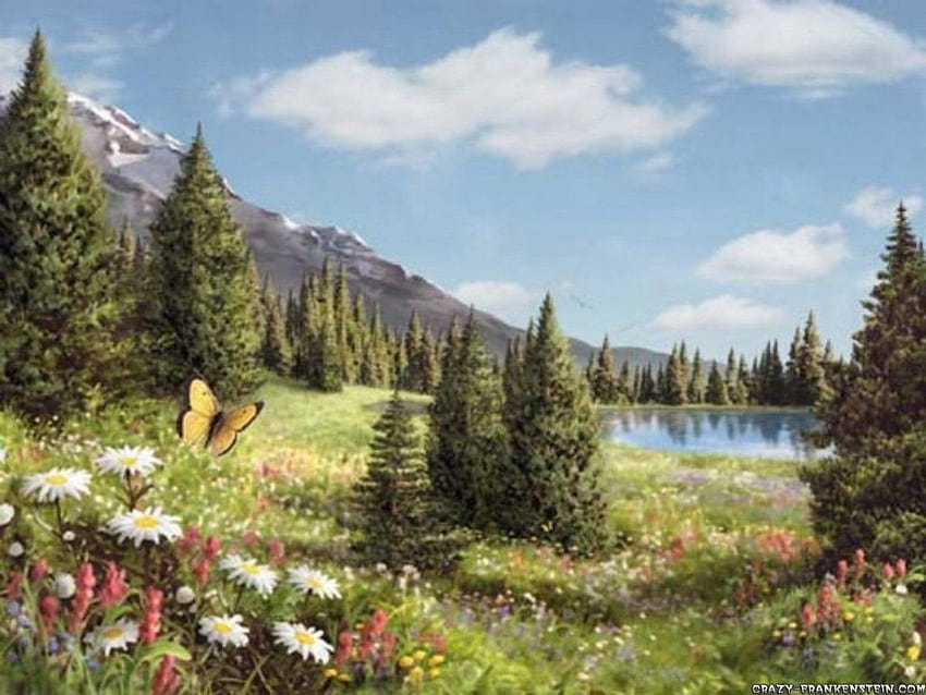 Último Mountain Meadow Spring, prados de primavera fondo de pantalla