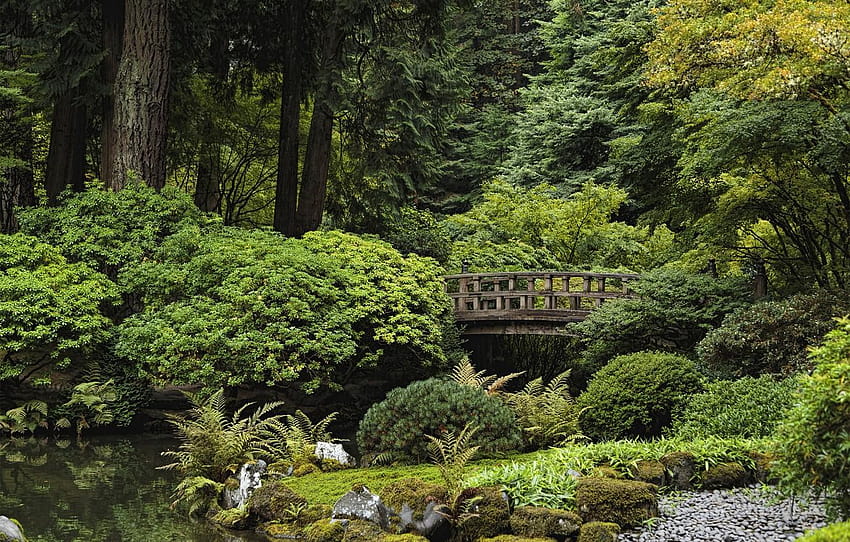 木、池、公園、石、アメリカ、茂み、オレゴン州、ポートランド日本庭園 高画質の壁紙