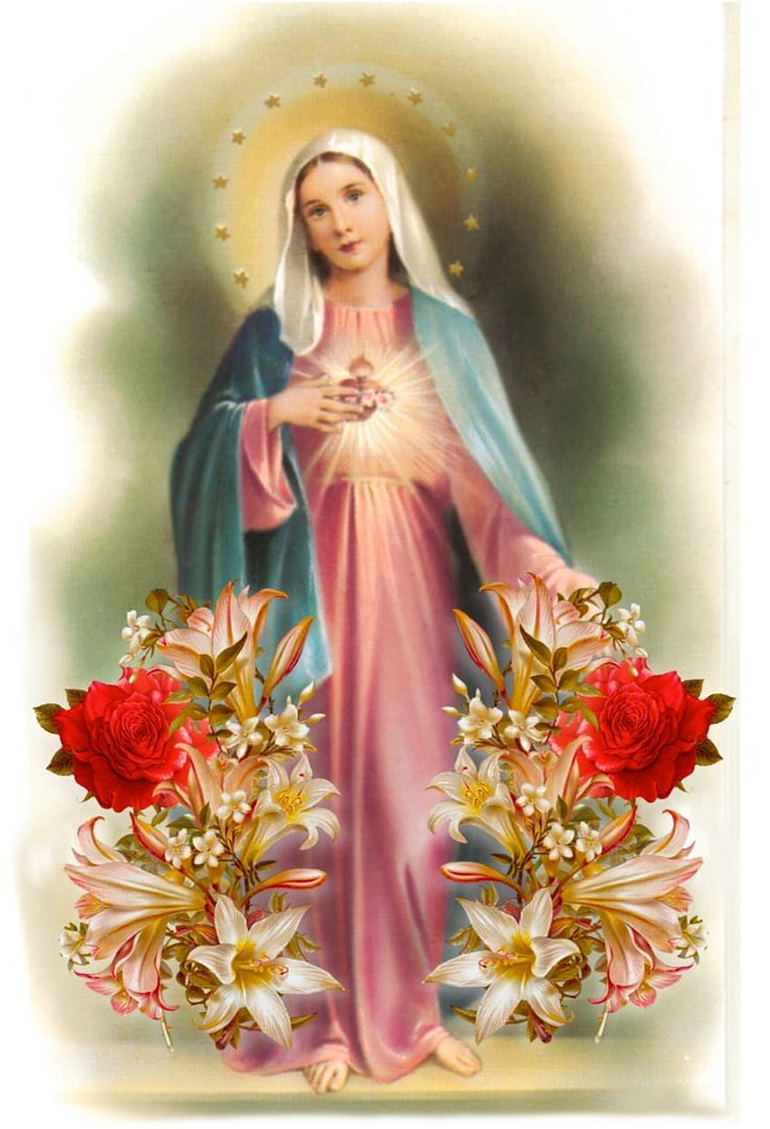 68 best Immaculate Heart of Mary [736x1079] for your , Mobile & Tablet,  mother mary mobile HD phone wallpaper | Pxfuel