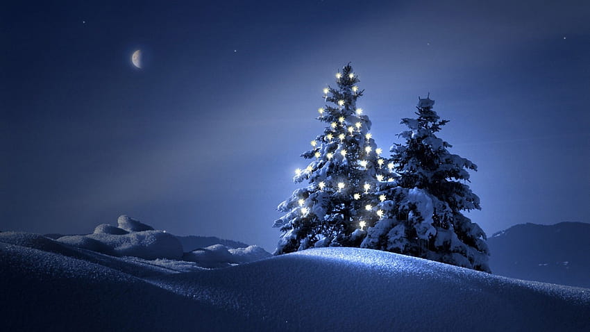 Snow Winter Christmas Backgrounds, snowy christmas scenes HD wallpaper