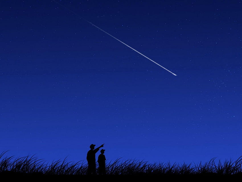Malam Bintang Jatuh: Hujan Meteor Perseid, perseids Wallpaper HD