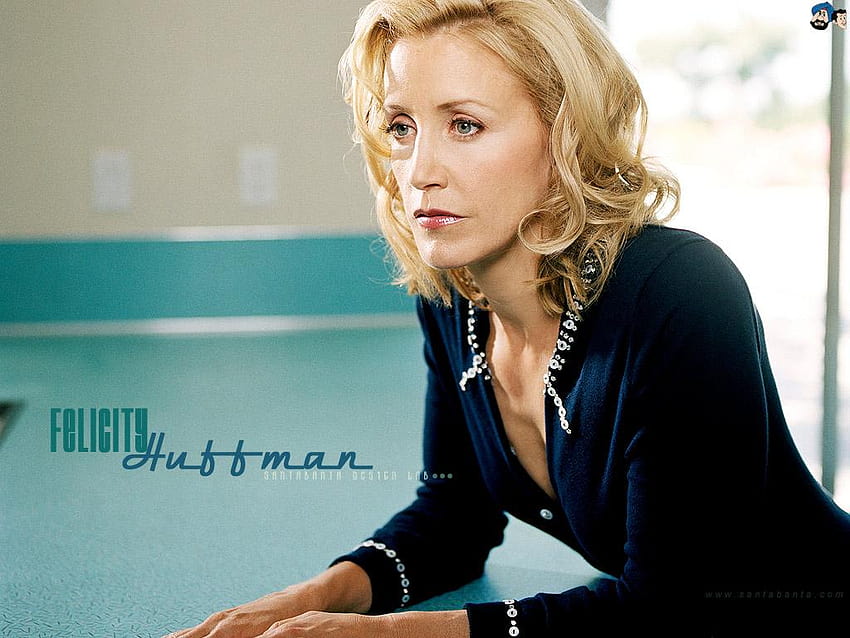 Felicity Huffman Felicity and backgrounds HD wallpaper