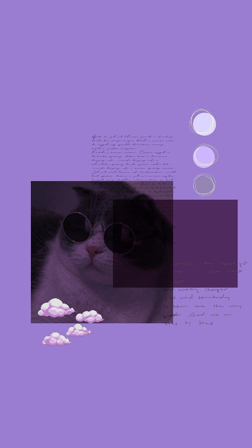 Cat purple aesthetic, purple cat HD phone wallpaper | Pxfuel
