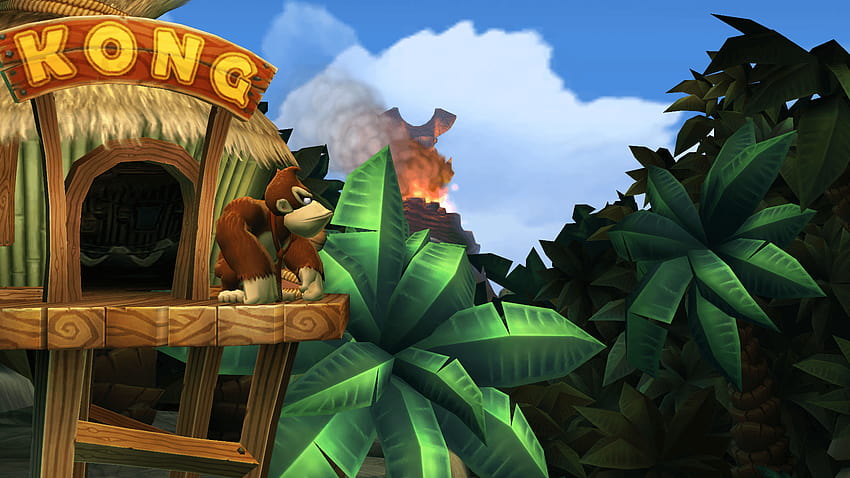 Donkey Kong and Diddy Kong's Treehouse, donkey kong country 3 dixie kongs double trouble HD wallpaper
