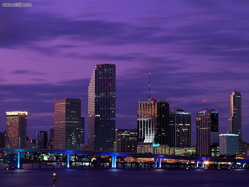 Buildings & City: Miami Nights Florida, nr. 7012, miami downtown florida cityscape HD wallpaper