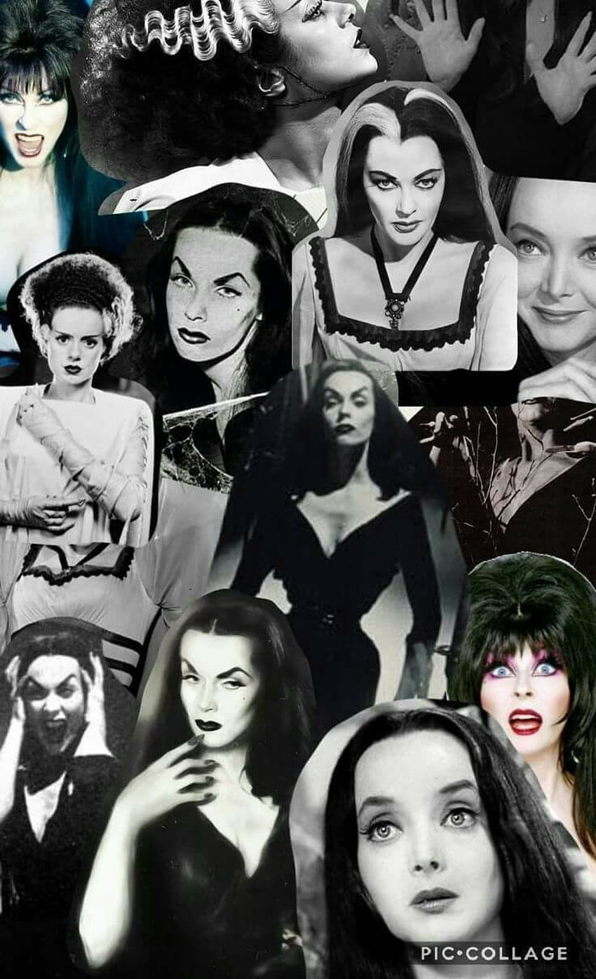 Megan Rae on Addams/Munsters/Elvira/Vampira, addams family halloween HD phone wallpaper
