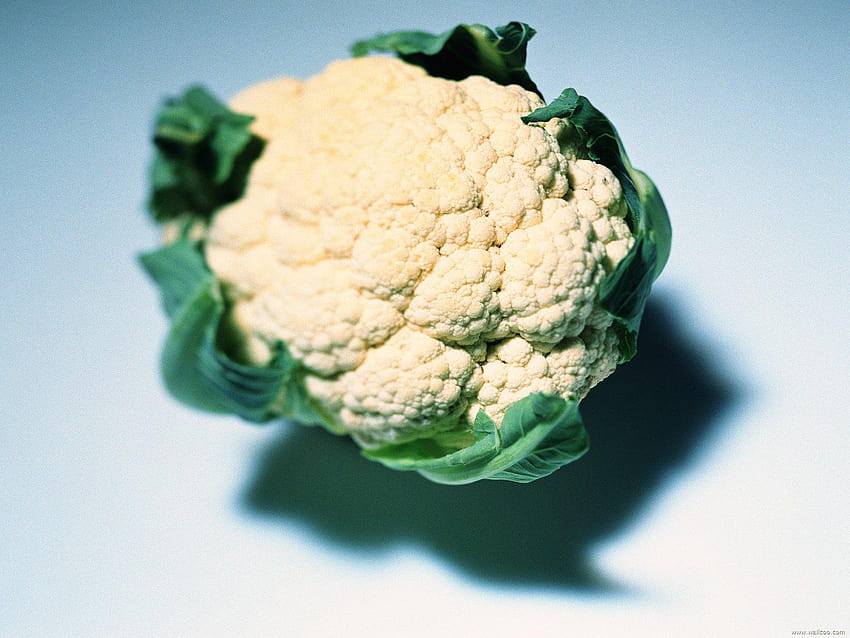 Cauliflower, close HD wallpaper