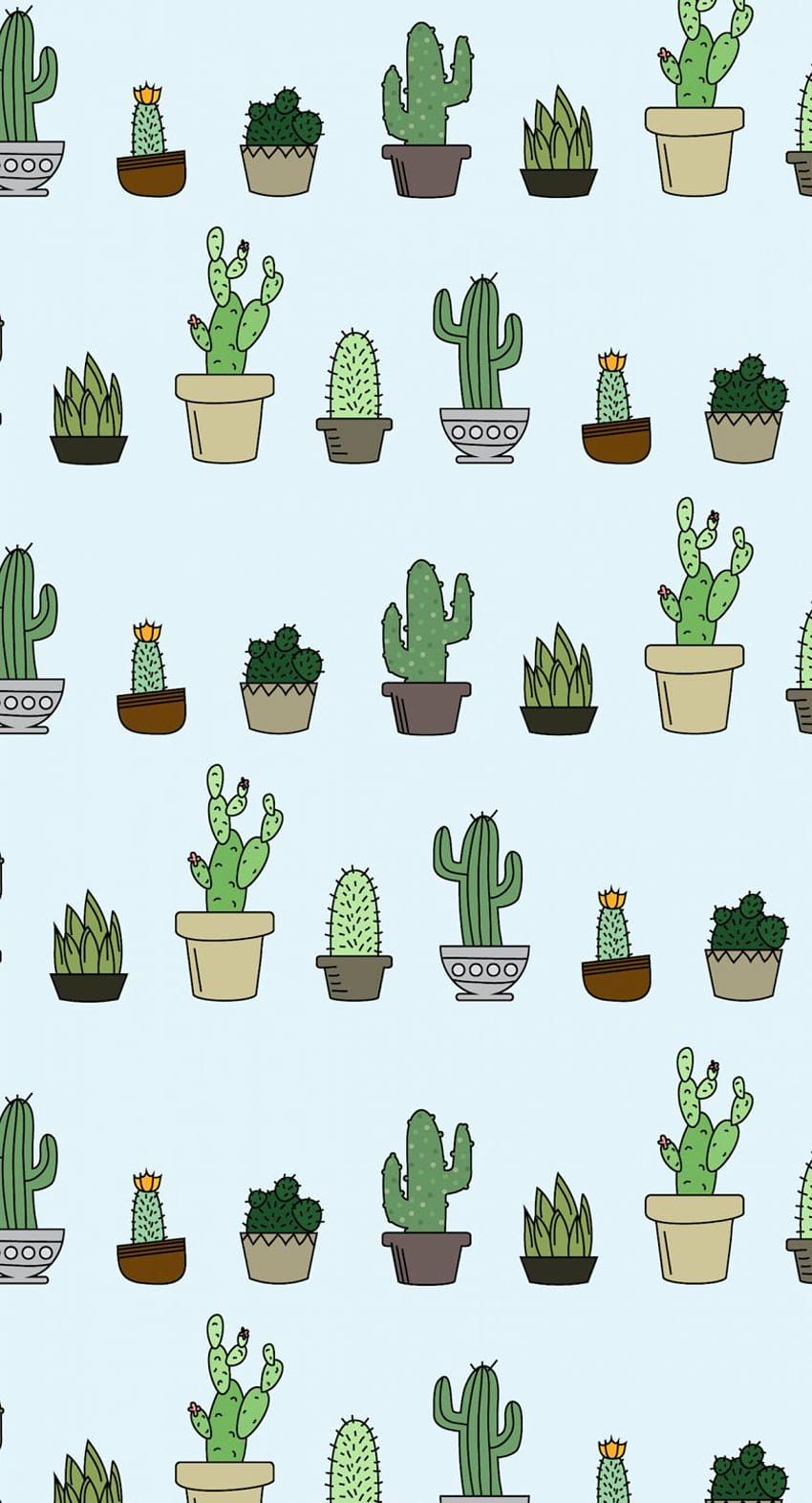 Schermata iniziale per piante succulente Cactaceae, estetica cactus Sfondo del telefono HD