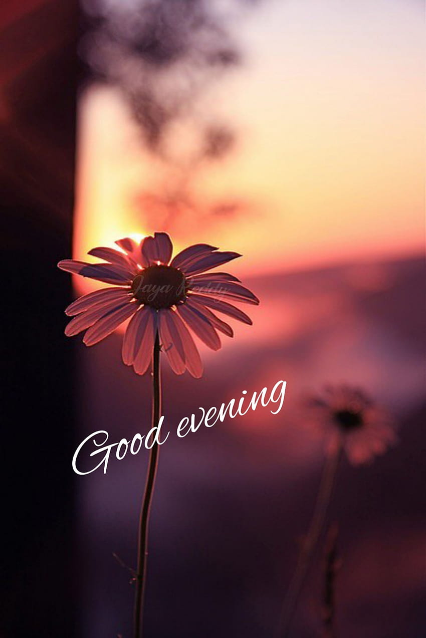 81 Good Evening , beautiful evening HD phone wallpaper | Pxfuel