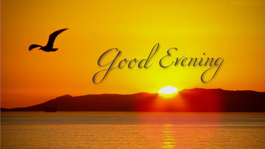 Best*} Good Evening Sms Shayari Quotes In Hindi HD wallpaper | Pxfuel