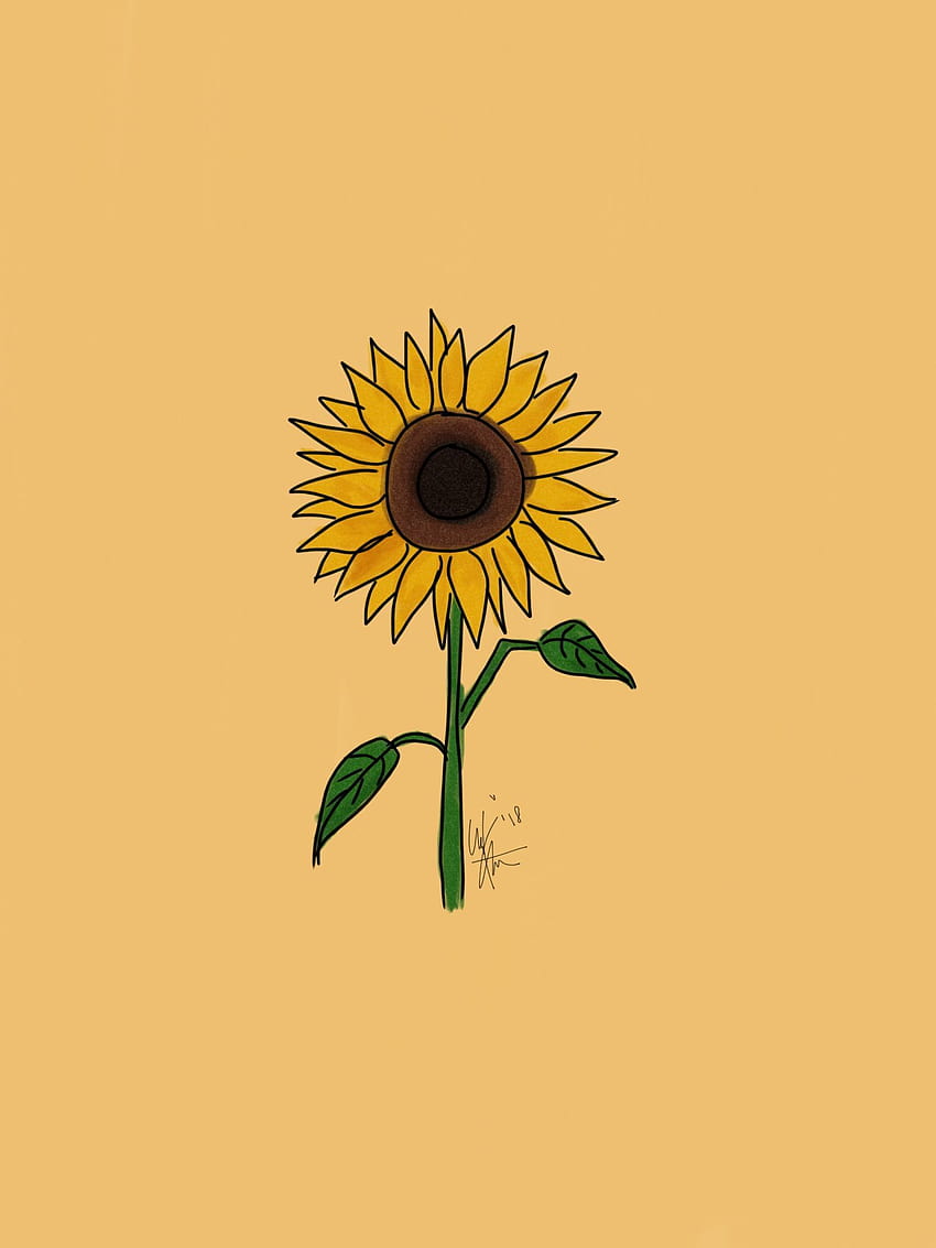 Sunflower wallpaper  Sunflower wallpaper Sunflower iphone wallpaper  Flower background wallpaper