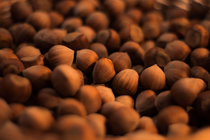 3046671 brown, food, hazelnuts, nuts and backgrounds HD wallpaper | Pxfuel