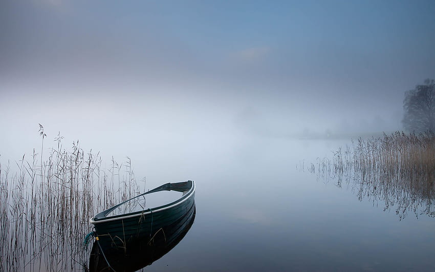 3 Rowboat, autumn foggy boat HD wallpaper