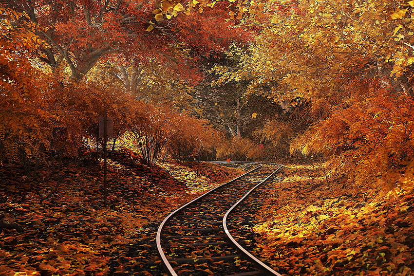 Rail, Railway, Train Track, Transportation, Dirt Road resized by Ze Robot, autumn train track HD wallpaper