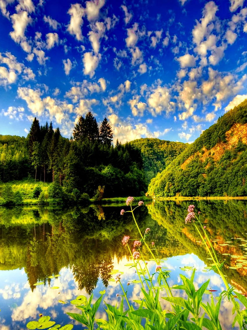 Lake summer nature With Resolutions 19201440 Pixel [1920x1440] for your ...