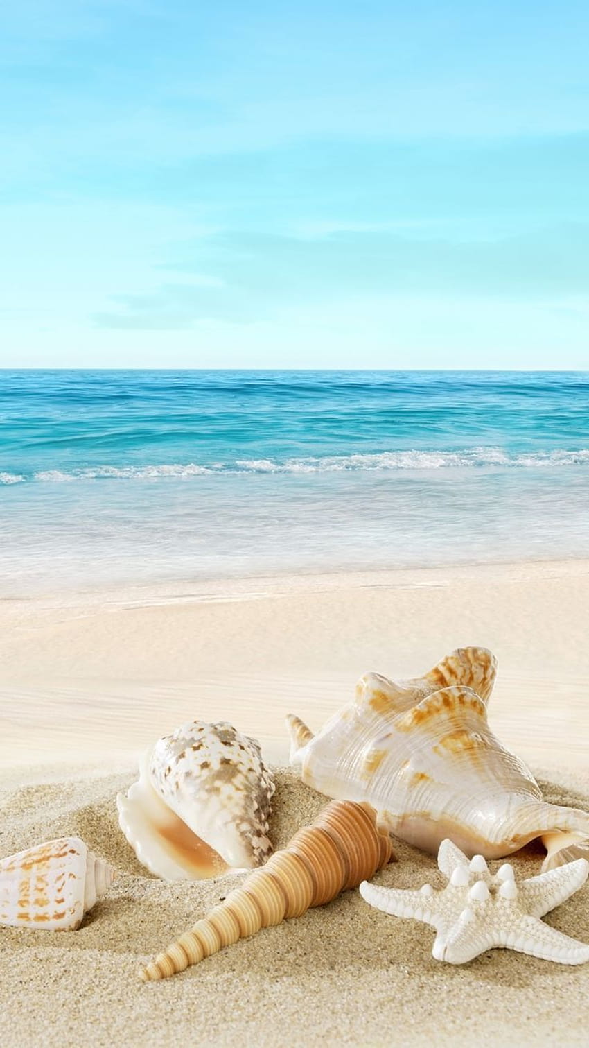 Beach nature beauty fabulous mobile Rocks, tropicana beach border portrait HD phone wallpaper