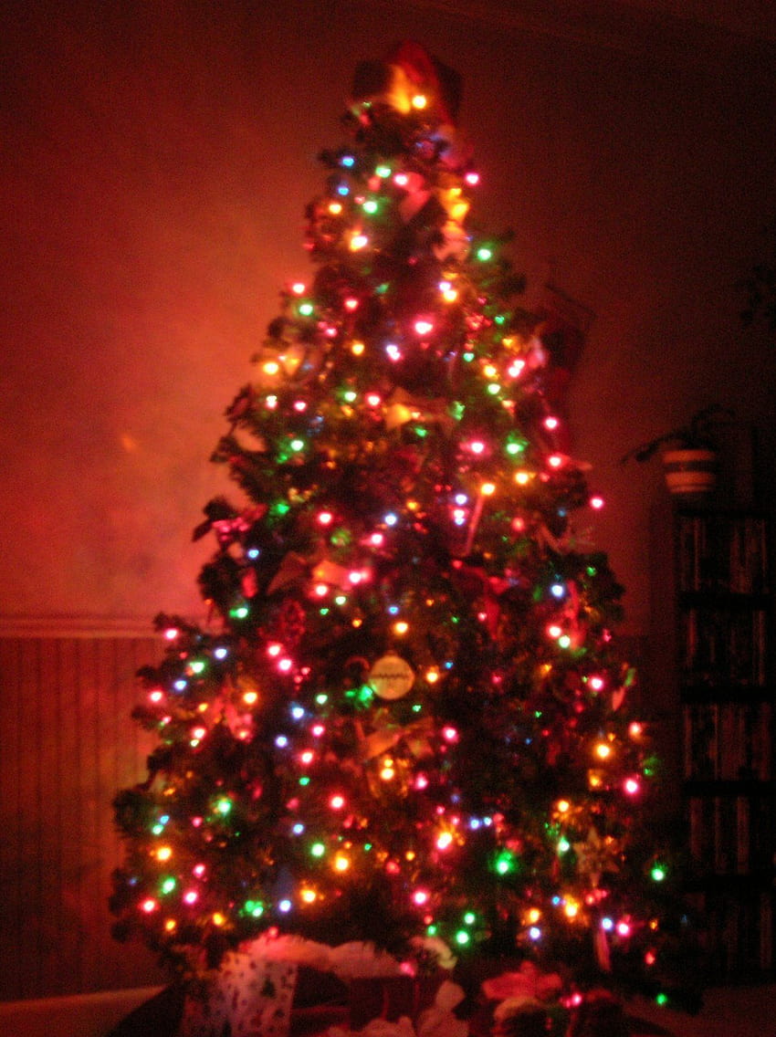 4 lumières de Noël blanches, lumières de Noël sur les arbres Fond d'écran de téléphone HD