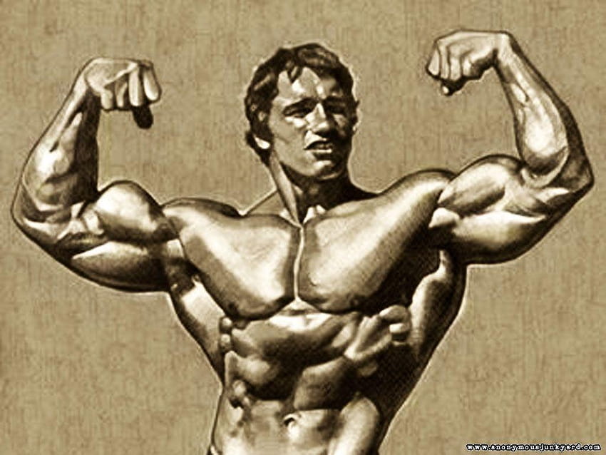 Galería de Arnold Bodybuilding fondo de pantalla