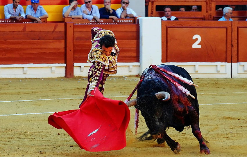 Spain, Bull, Matador , section мужчины, spanish style bullfighting HD wallpaper